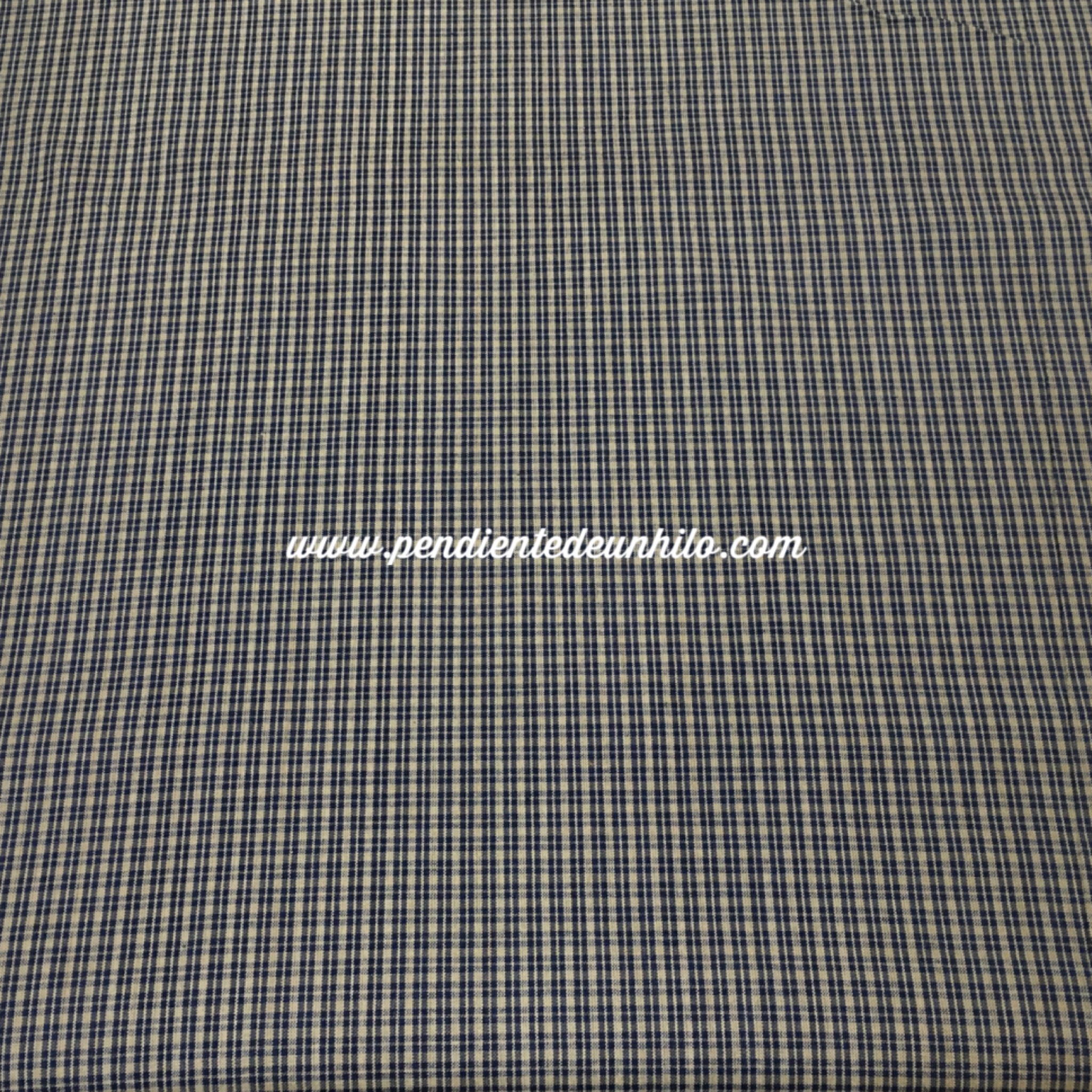 Country Homespun azul#9